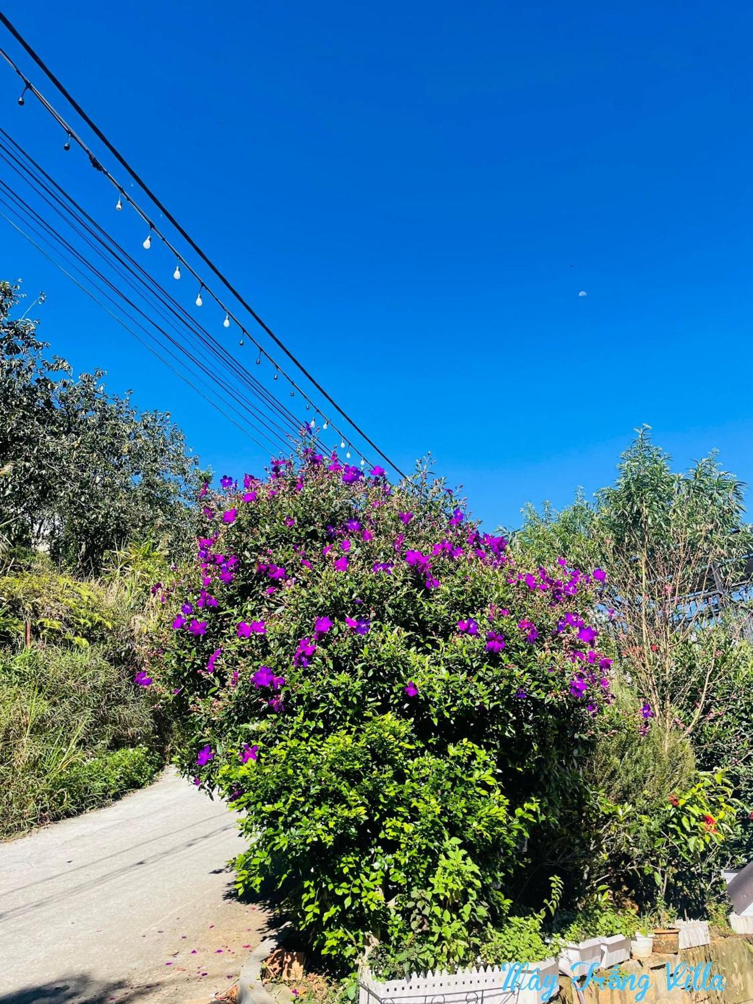 May Trang Villa دالات المظهر الخارجي الصورة